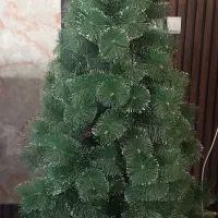 درخت کریسمس بزرگ