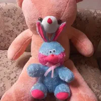 سه عدد عروسک در حد نو ۸۵۰ هزارتومان