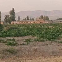 ۲۵۰۰ متر سند زمین گاوداری صنعتی|فروش دفتر صنعتی، کشاورزی، تجاری|میاندوآب, |دیوار