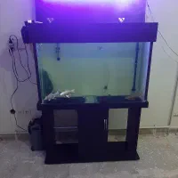 ۳ آکواریوم شیشه خم معمولی پمپ فیلترسطلی بخاری چراغ