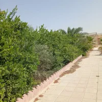 باغ ویلا گورک