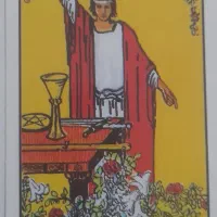 ۵۰ درصد تخفیف ویژه فال