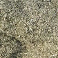 کاه یونجه