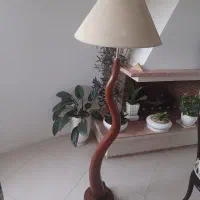 آباژور کنار سالنی