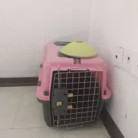 باکس حمل حیوانات