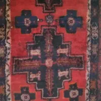 زینتی