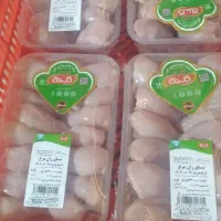 بسته بندی مرغ وبوقلمون