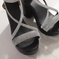کفش مجلسی