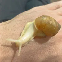 جوان سازی پوست