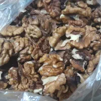 گردو وشنوه|خوردنی و آشامیدنی|قم, شهرک سازمان آب|دیوار