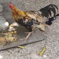2200