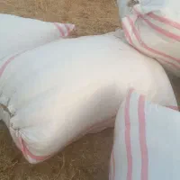 کاه