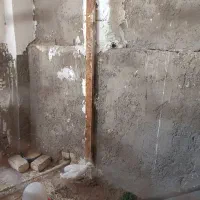 مرغ هلندی