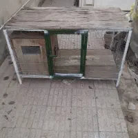 قفس پرنده و طیور