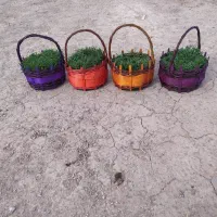 سبزه شب عید عمده وتکی