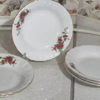 خورشت خوری چینی گلسرخی زرین درجه 1