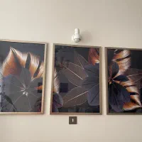 لوستر و لوازم تزیینی|لوستر و چراغ آویز|پردیس, فاز ۲|دیوار