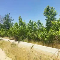 فروش-باغ-دونبش-مرکز-شهر-بیضا-آزادراه-اصفهان-شیراز