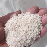 400کیلو برنج هاشمی|خوردنی و آشامیدنی|لنگرود, |دیوار