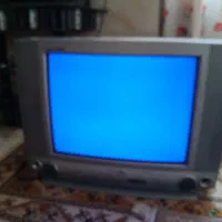 تلویزیون