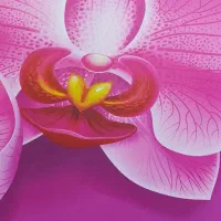 جذب نیروی پذیرش