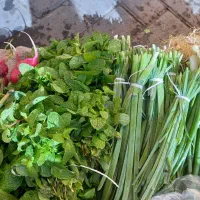 سبزی بسته بندی کوکویی کوفته ای پلویی خوردن|خوردنی و آشامیدنی|گرگان, |دیوار