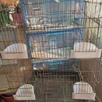 قفس بزرگ با پایه و یک قفس طوطی