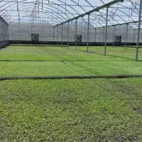 سازه گلخانه با تجهیزات کامل|عمده‌فروشی|مشهد, آیت الله کاشانی|دیوار