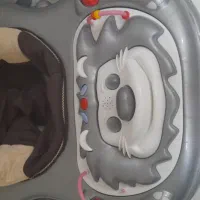 روروئک و کریر|کالسکه و لوازم جانبی|تایباد, |دیوار