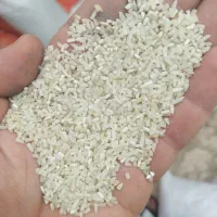 نیم دانه دودی|خوردنی و آشامیدنی|رشت, جانبازان|دیوار