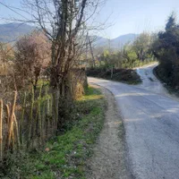 ۱۰۰۰ متر  کوهستانی پلاک اول جنگل