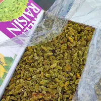 کشمش سبز قلمی ممتاز کاشمر