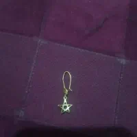 گوشواره گم شده