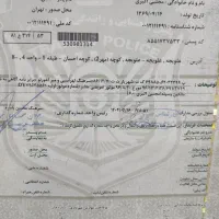 مینی بوس کارسان 2007