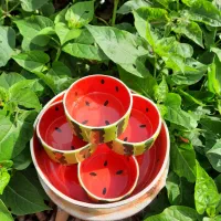 کاسه ۷تیکه سرامیکی هندونه|ظروف سرو و پذیرایی|رشت, هلال احمر|دیوار