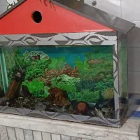 آکواریوم با تمام تجهیزات|ماهی|سبزوار, پاسداران|دیوار