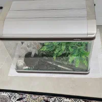 اکواریوم