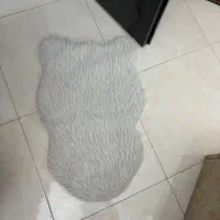 پادری خز