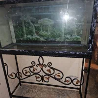 اکواریوم ماهی با پایه