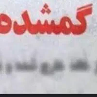 مدارک گمشده
