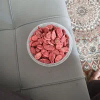 تخمه هندوانه