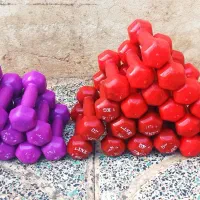 وزنه دمبل و وزنه یک کیلویی روکش دار|تجهیزات ورزشی|تاکستان, |دیوار