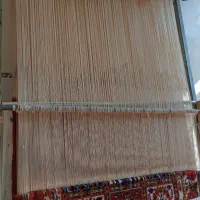 قالی|فرش|فارسان, |دیوار