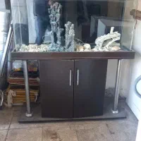 آکواریوم ماهی شیشه خم