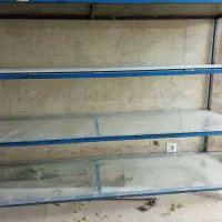 فروش میز ویترین مغازه و قفسه در محدوده رزن