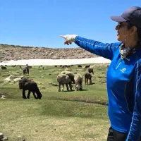 تدریس خصوصی دروس ابتدایی باشعر و بازی در منزل