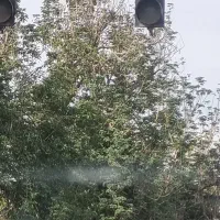 باسلام بک همکار خانم‌ نیازمندم