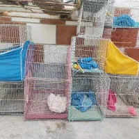 قفس پرنده در ابعاد مختلف