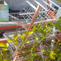 به دلیل تغیر شغل