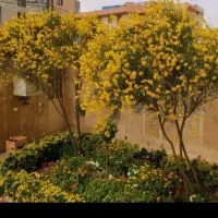 تاسیساتی، تعمیراتی، برقکشی، لوله کشی